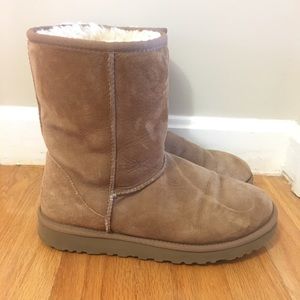 Chestnut UGGs